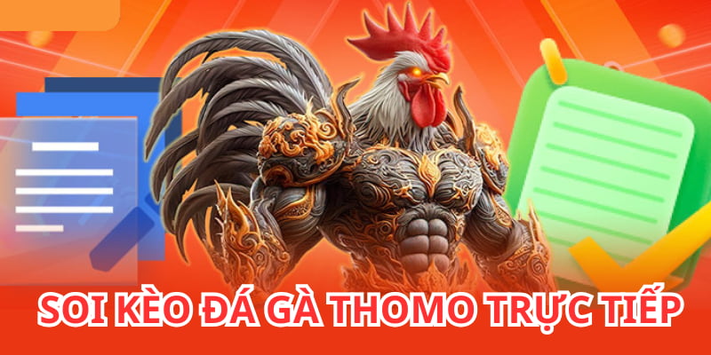 Soi kèo trực tiếp đá gà thomo